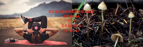 первитин Беломорск