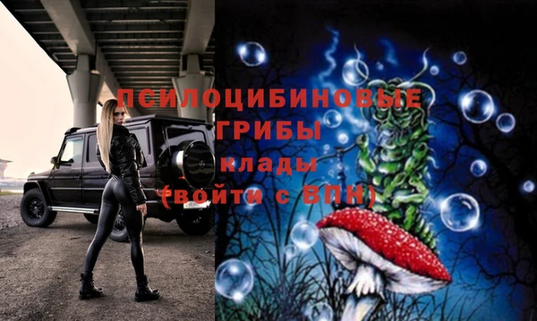 гидра Аркадак