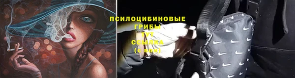 меф Армянск