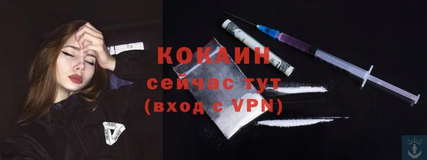 гидра Аркадак