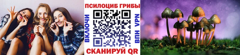 Псилоцибиновые грибы Cubensis продажа наркотиков Мурманск